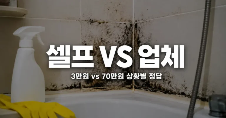 장마철 곰팡이 제거 셀프 3만원 vs 업체 70만원, 상황별 선택 기준